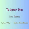 About Tu Jaruri Hai Song